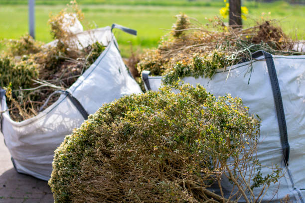 Trash Removal Near Me in Arrowhead Beach, NC